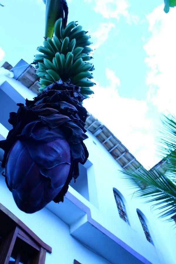 Hostel Divinopolis Exterior photo